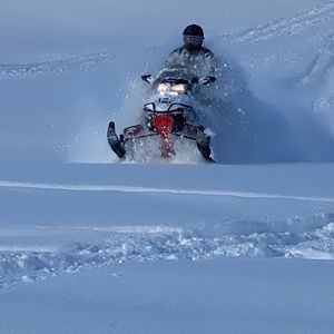 Meet your Posher, Chad